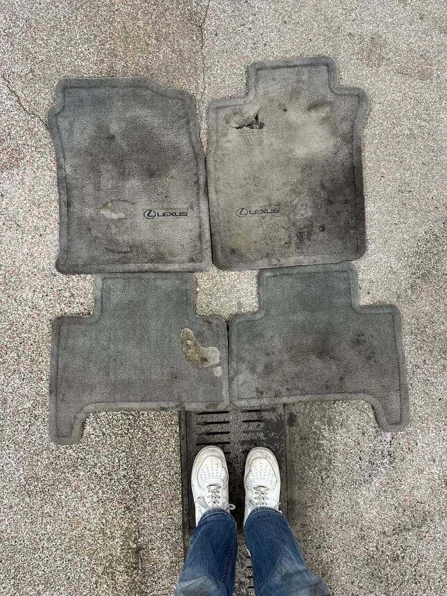 Lexus floor mats heavily soiled before extraction